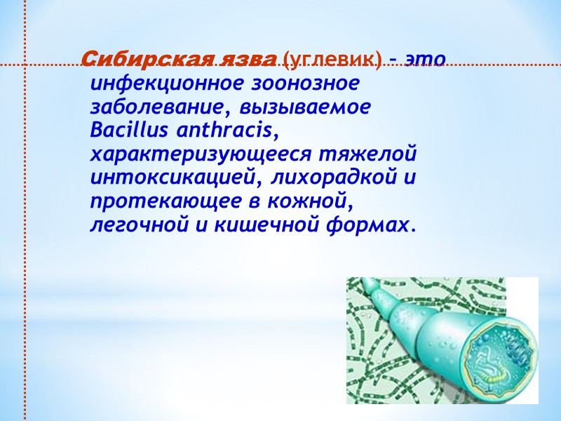 Сибирская язва (углевик) – это инфекционное зоонозное заболевание, вызываемое Bacillus anthracis, характеризующееся тяжелой интоксикацией,